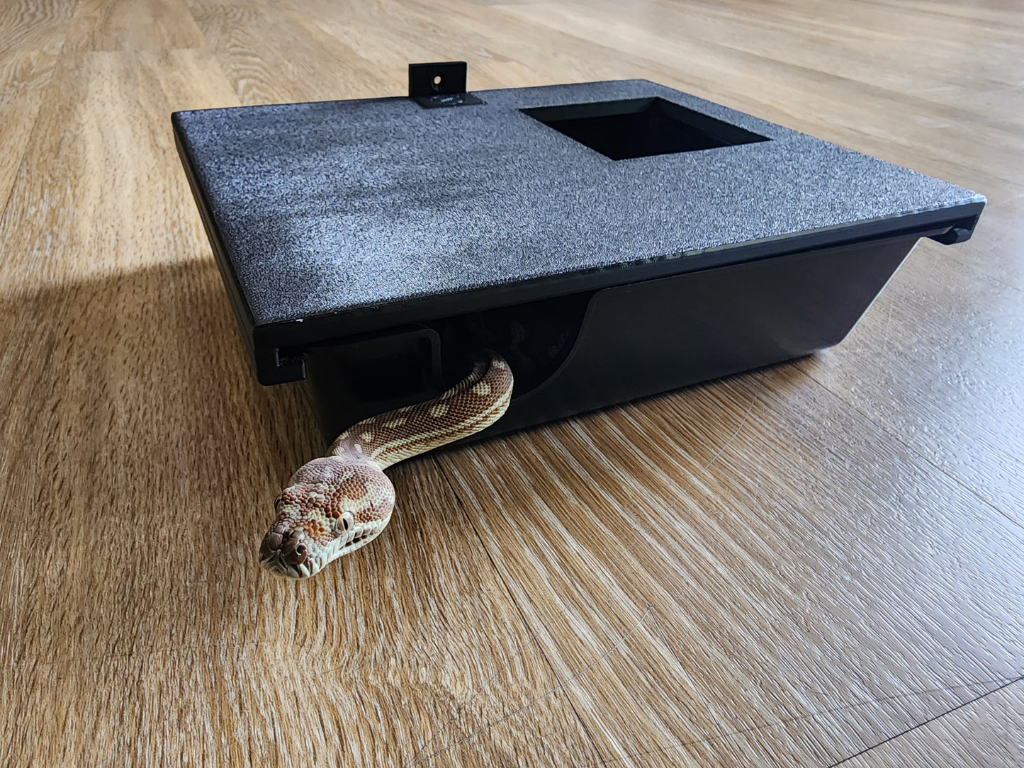 Basking shelf with Medium hide hanger