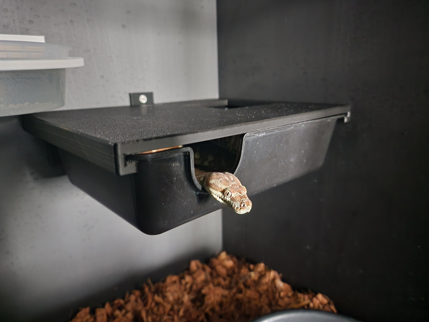 Basking shelf with Medium hide hanger